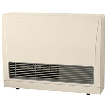 Rinnai 16700 BTU Direct Vent Wall Heater