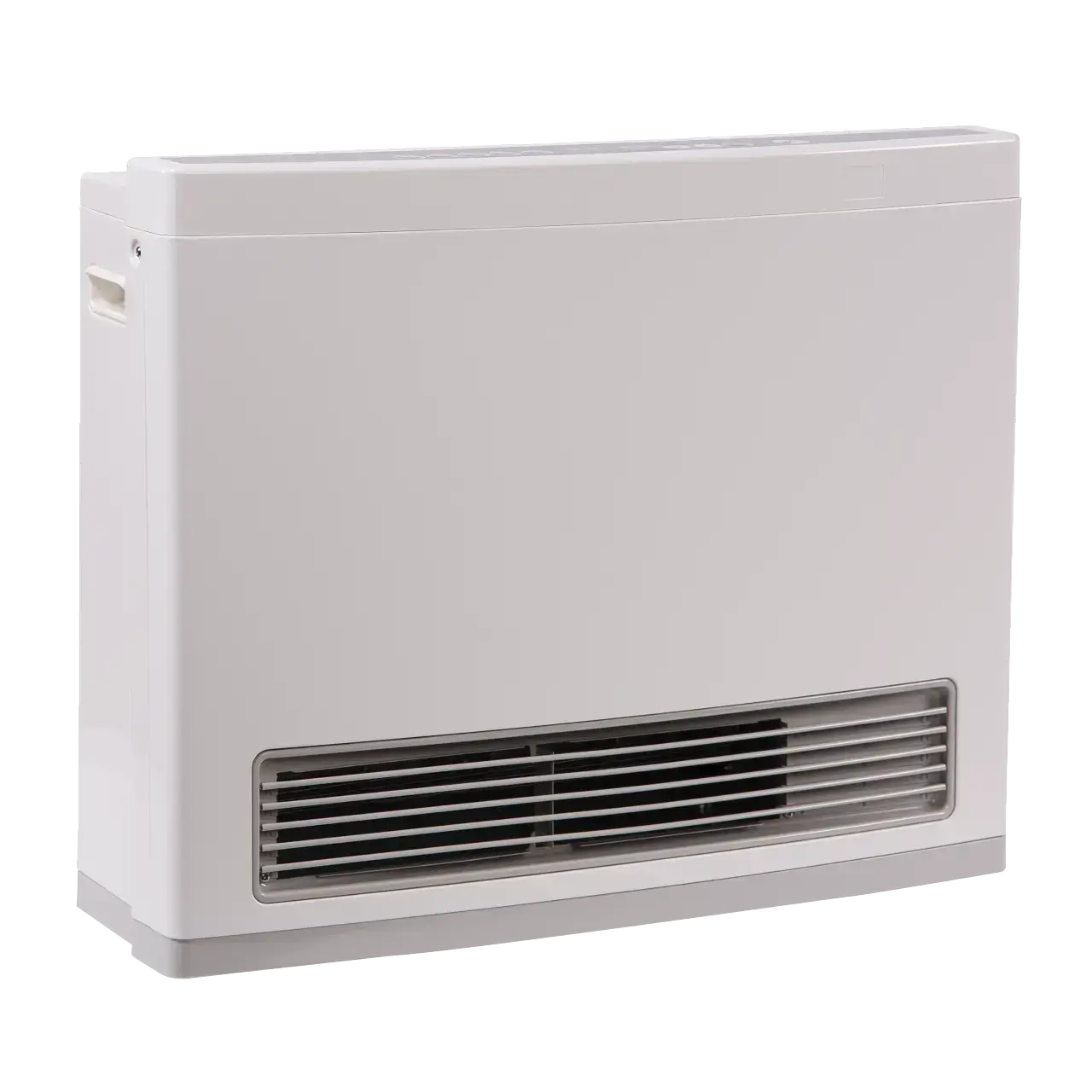 Rinnai FC824 space heater