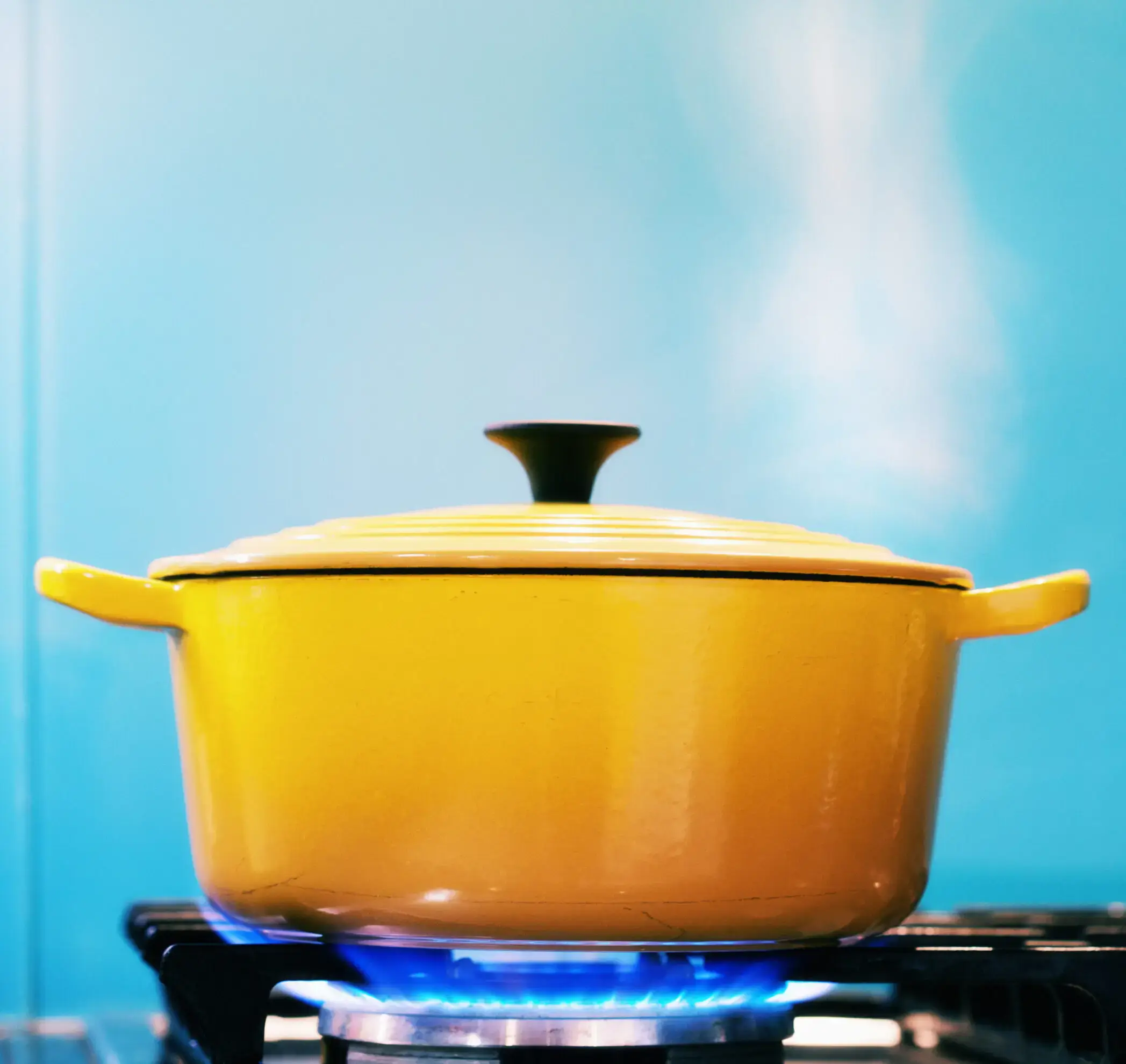 Cook Like a Pro on Your Gas Range