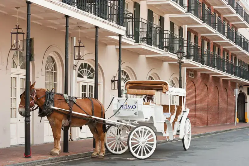 The Bienville gas lantern with horse and carriage