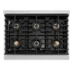 Autograph Edition 36 in. 5.2 cu. ft. Paramount Dual Fuel Range Continuous cast-iron grates