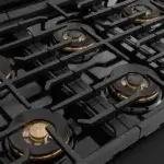 ZLINE Professional black stainless-steel dual fuel range PSDRBZ-48-CB duopro burners