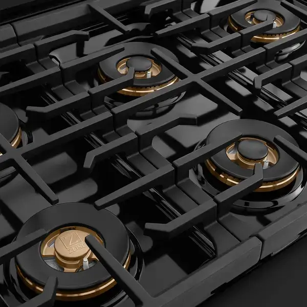 ZLINE Professional black stainless-steel dual fuel range PSDRBZ-48-CB duopro burners