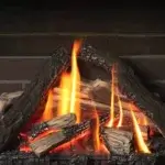 1000LSKV2 Traditional Logs