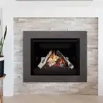 Valor G4 Gas insert Birch + 4-Sided Front
