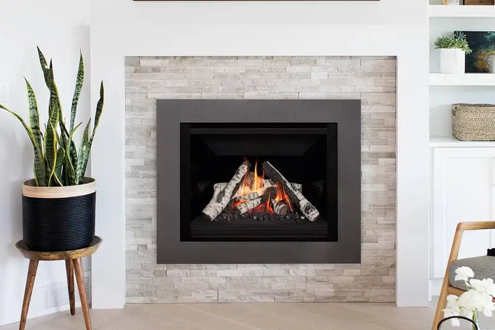 Valor G4 Gas insert Birch + 4-Sided Front